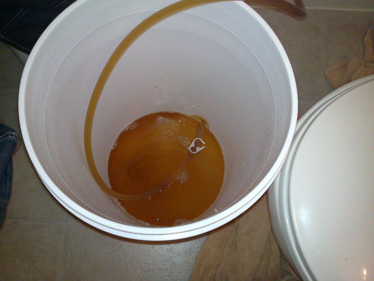 Siphoning wort into the fermentation bucket