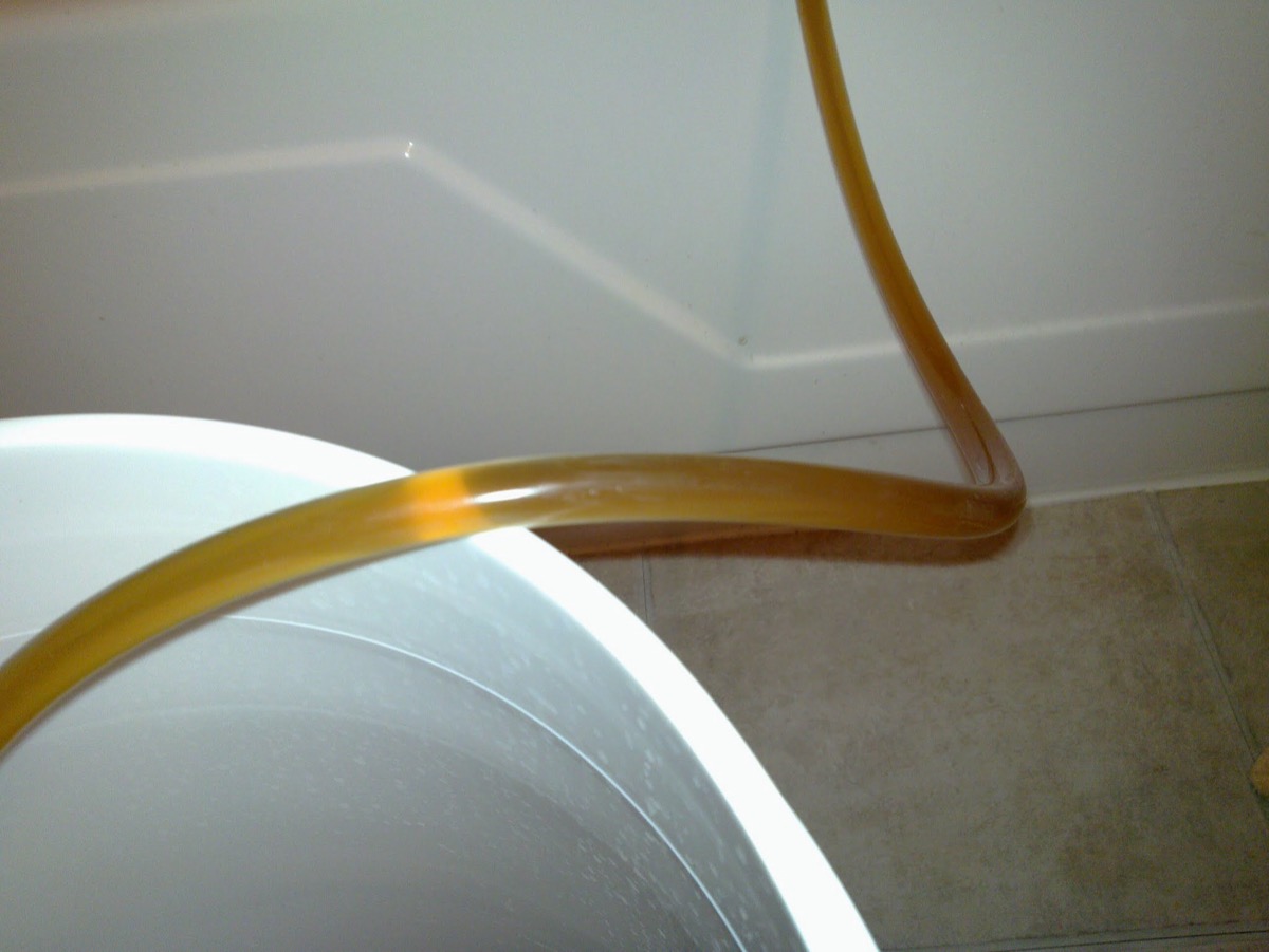 Close-up of wort flowing through the siphon tube